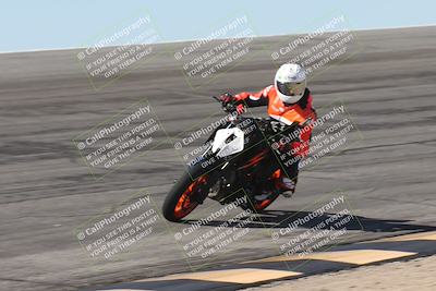 media/Oct-13-2025-Moto Forza (Mon) [[a66d839500]]/4-C Group/Session 2 (Bowl)/